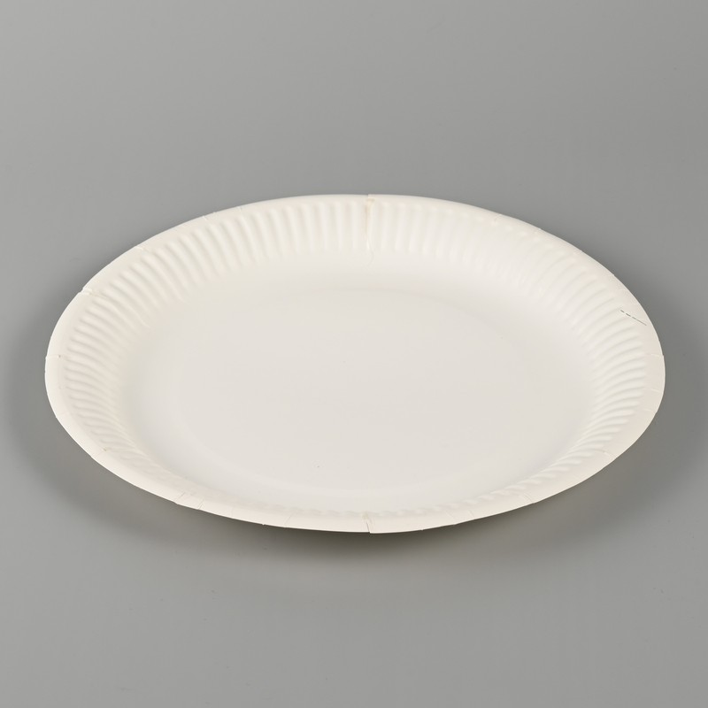 Biodegradable Paper Plates