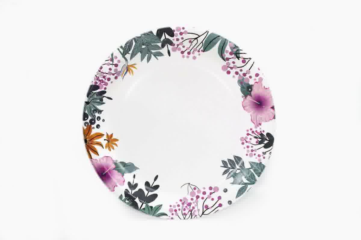 Party Plate Set