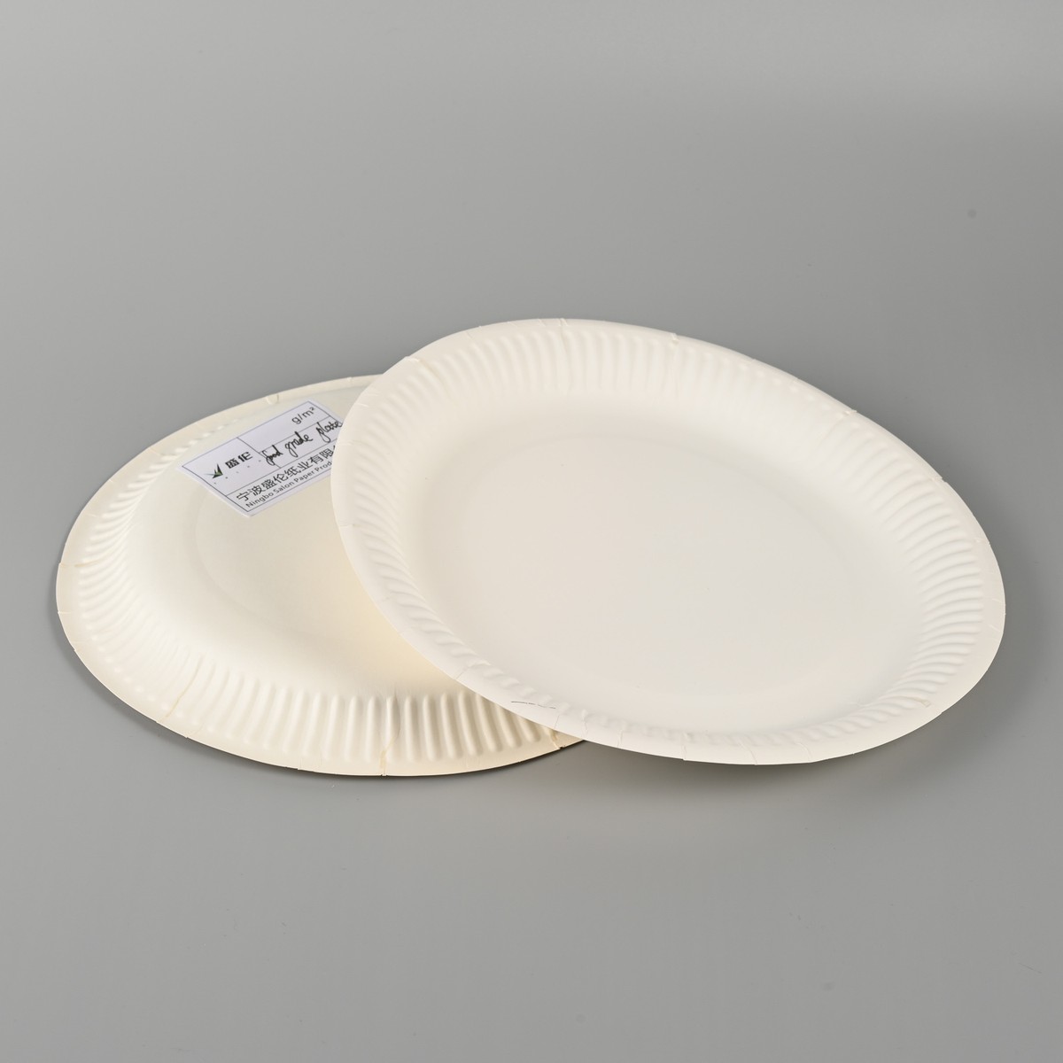 Paper Plate